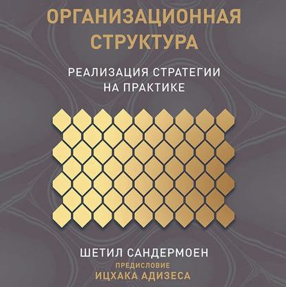 Организационная структура (Шетил Сандермоен)