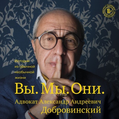 Вы. Мы. Они. Истории из обычной необычной жизни (Александр Добровинский)