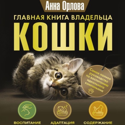 Главная книга владельца кошки (Анна Орлова)