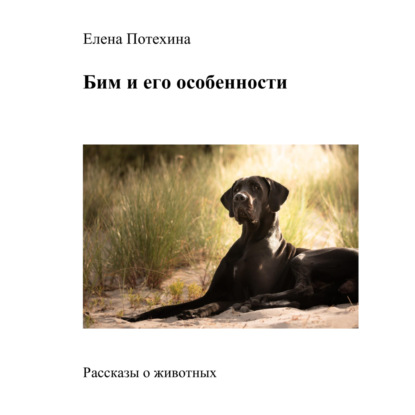 Бим и его особенности (Елена Александровна Потехина)