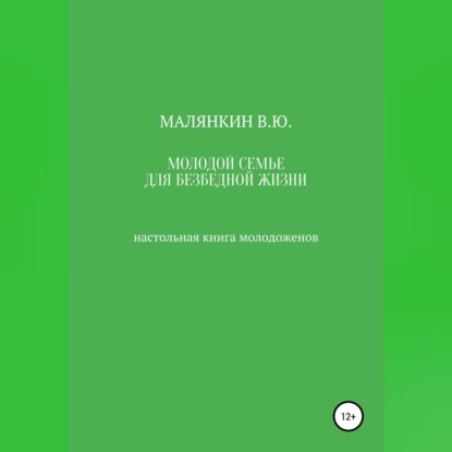Молодой семье для безбедной жизни. Настольная книга молодоженов (Владимир Юрьевич Малянкин)