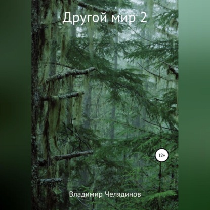 Другой мир 2 (Владимир Иванович Челядинов)