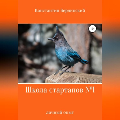 Школа стартапов №1: Личный опыт (Константин Константинович Берлинский)