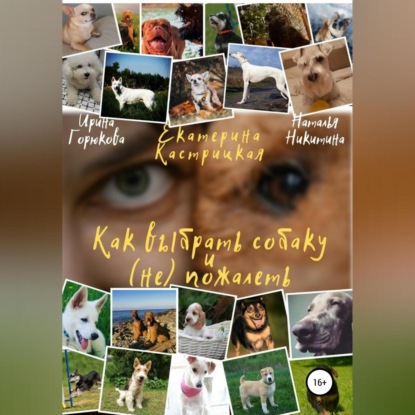 Как выбрать собаку и (не) пожалеть (Екатерина Кастрицкая)