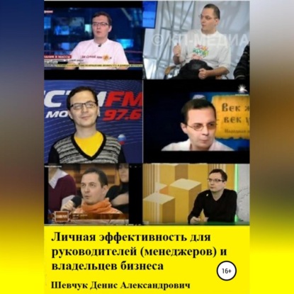 Личная эффективность для руководителей (менеджеров) и владельцев бизнеса (Денис Александрович Шевчук)