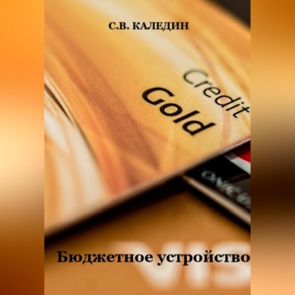 Бюджетное устройство (Сергей Каледин)