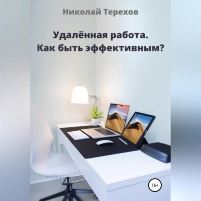 Удалённая работа. Как быть эффективным? (Николай Николаевич Терехов)