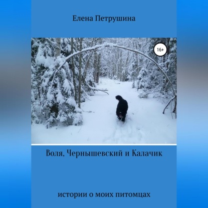 Воля, Чернышевский и Калачик (Елена Петрушина)