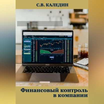 Финансовый контроль в компании (Сергей Каледин)