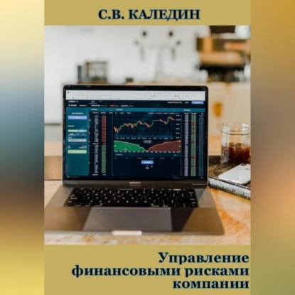 Управление финансовыми рисками компании (Сергей Каледин)