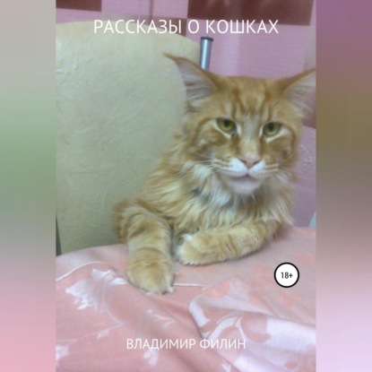 Рассказы о кошках (Владимир Иванович Филин)