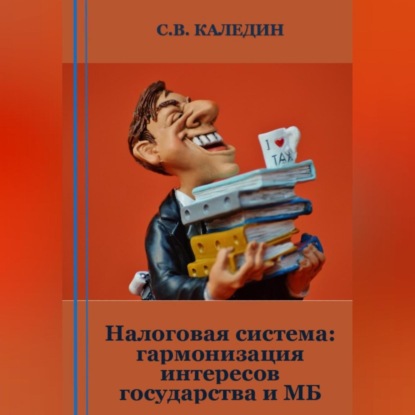 Налоговая система: гармонизация интересов государства и МБ (Сергей Каледин)