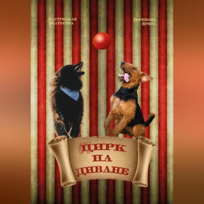Цирк на диване (Екатерина Кастрицкая)