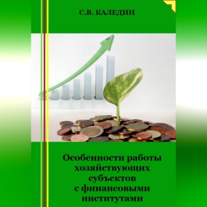 Особенности работы хозяйствующих субъектов с финансовыми институтами (Сергей Каледин)