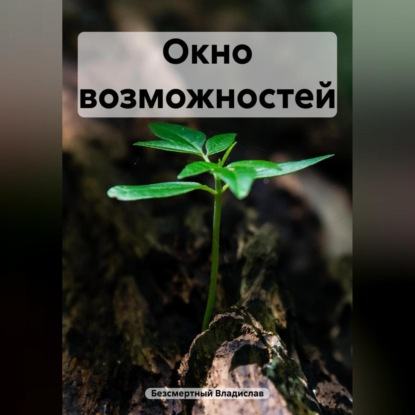 Окно возможностей (Владислав Безсмертный)