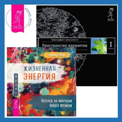 Жизненная Энергия: Переход на вибрации Нового Времени. Трансерфинг реальности. Ступень I: Пространство вариантов (Вадим Зеланд)