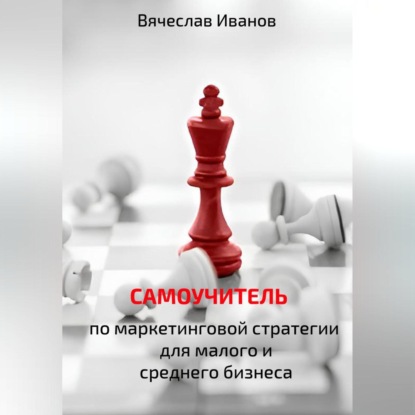 Самоучитель по маркетинговой стратегии для малого и среднего бизнеса. (Вячеслав Викторович Иванов)