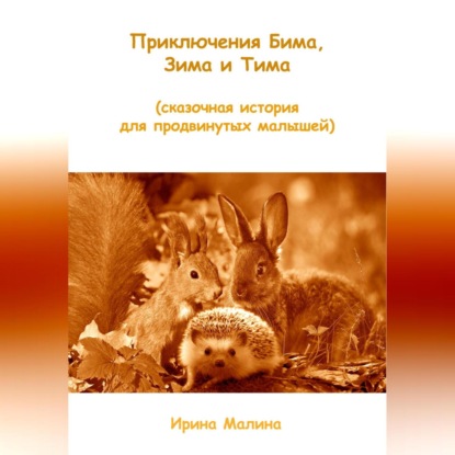 Приключения Бима, Зима и Тима. Сказочная история для продвинутых малышей (Ирина Малина)