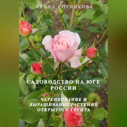 Садоводство на юге России. Черенкование и выращивание декоративных растений открытого грунта (Ирина Сотникова)