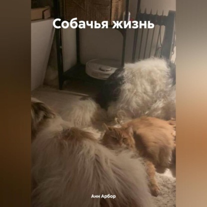 Собачья жизнь (Анн Арбор)