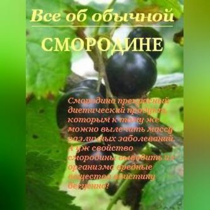 Все об обычной смородине (Иван Дубровин)
