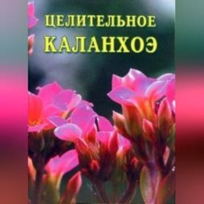 Целительное каланхоэ (Иван Дубровин)