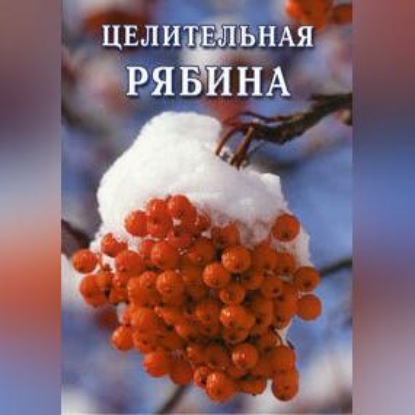 Целительная рябина (Иван Дубровин)