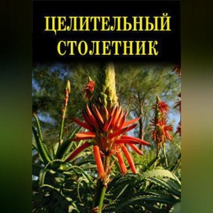 Целительный столетник (Иван Дубровин)