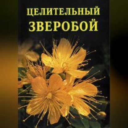 Целительный зверобой (Иван Дубровин)
