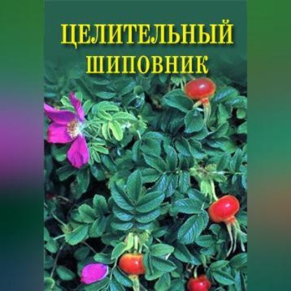 Целительный шиповник (Иван Дубровин)