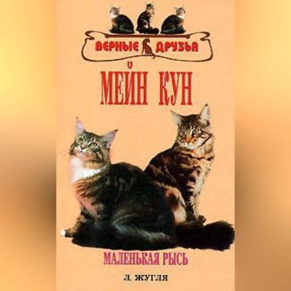 Мейн кун (Л. В. Жугля)