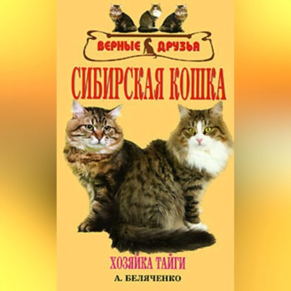 Сибирская кошка (Андрей Беляченко)
