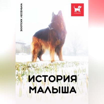 История Малыша (Алеся Александровна Малишевская)