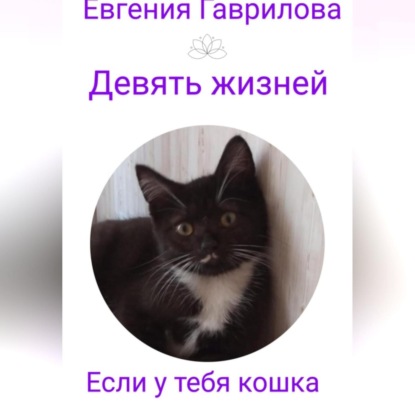 Девять жизней. Если у тебя кошка. (Евгения Викторовна Гаврилова)