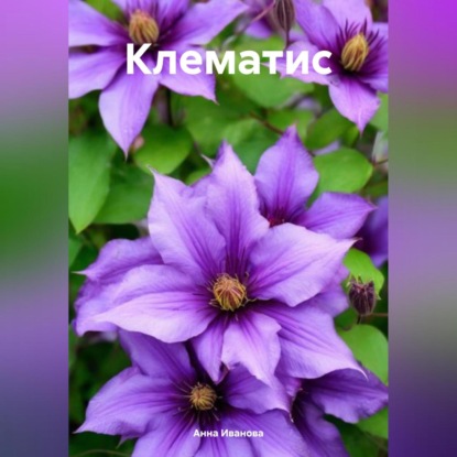 Клематис (Анна Ивановa)