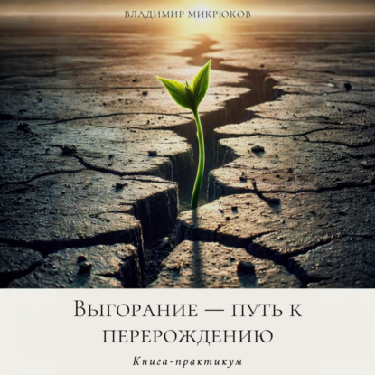 Выгорание – путь к перерождению (Владимир Микрюков)