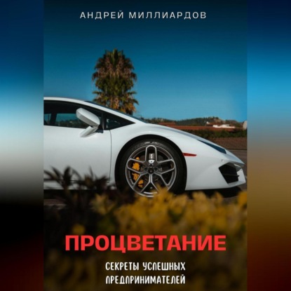 Процветание. Секреты успешных предпринимателей (Андрей Миллиардов)