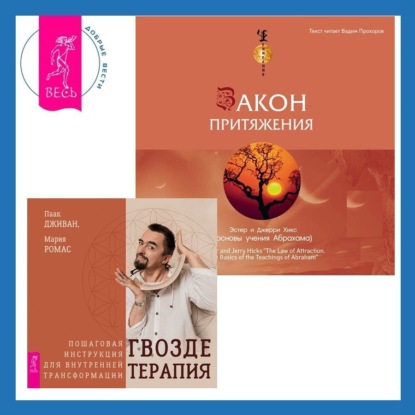 Закон притяжения. Гвоздетерапия. Пошаговая инструкция для внутренней трансформации (Эстер и Джерри Хикс)