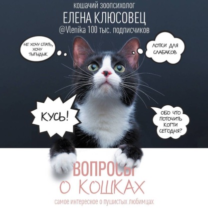 Вопросы о кошках. Самое интересное о пушистых любимцах (Елена Клюсовец)