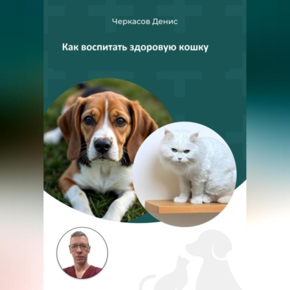 Как воспитать здоровую кошку (Денис Черкасов)