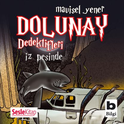 Dolunay Dedektifleri 1 – İz peşinde (Mavisel Yener)