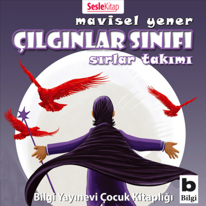 Çılgınlar Sınıfı 4 – Sırlar Takımı (Mavisel Yener)