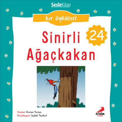 Kır Öyküleri – Sinirli ağaçkakan (Nuran Turan)