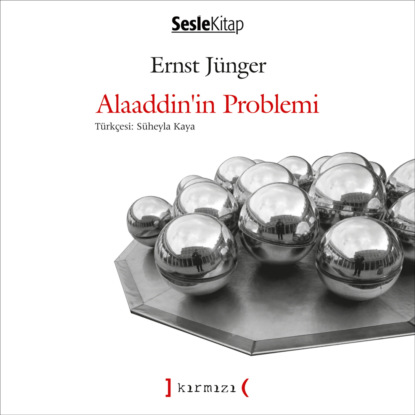 Aklını Arayan Çocuk (Aslan Özden)