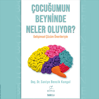 Çocuğumun Beyninde Neler Oluyor? (Dr. Saniye Bencik Kangal)