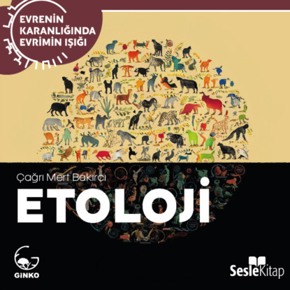 EVRENİN KARANLIĞINDA EVRİMİN IŞIĞI BÖLÜM 8 / ANTROPOLOJİ — İnsanı Anlamak… (Çağrı Mert Bakırcı)