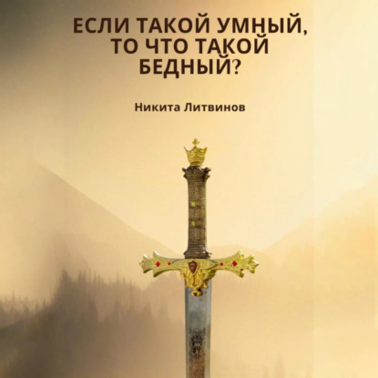 Если такой умный, то что такой бедный? (Никита Литвинов)