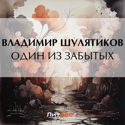 Один из забытых (Владимир Михайлович Шулятиков)
